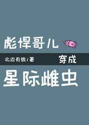 星际雌虫穿成乡村哥儿好看吗