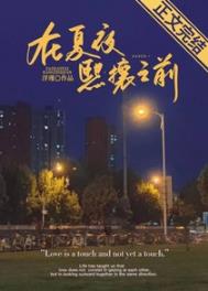 在夏夜熙攘之前txt无删减