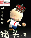 球王贝斯特免费在线阅读