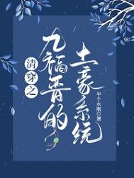清穿之九福晋的土豪系统半个水瓶笔趣阁